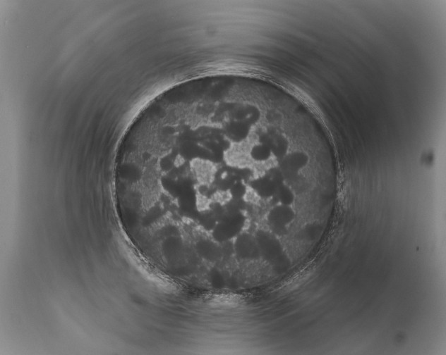 X0000112001043200908171415