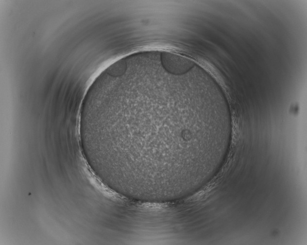 X0000112001044200908171415