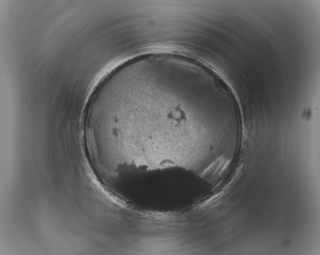 X0000112001045200908171415