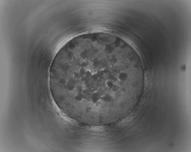 X0000112001047200908171415