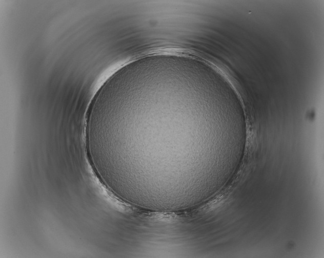 X0000112001050200908171415