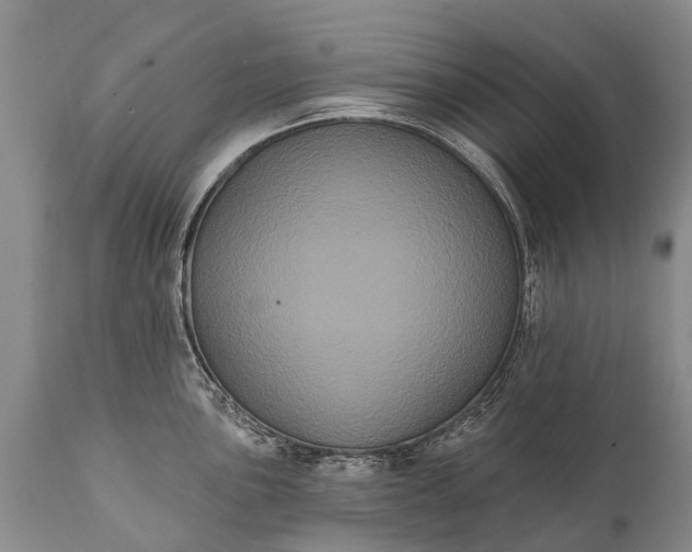 X0000112001051200908171415