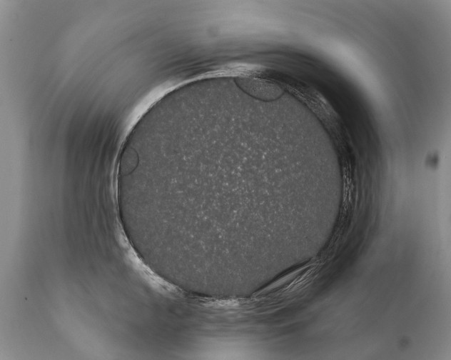 X0000112001054200908171415