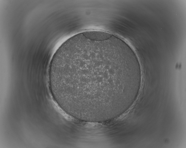 X0000112001056200908171415