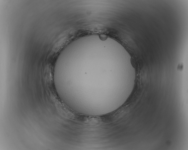 X0000112001058200908171414