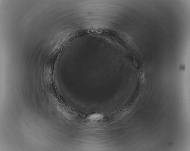 X0000112001060200908171414