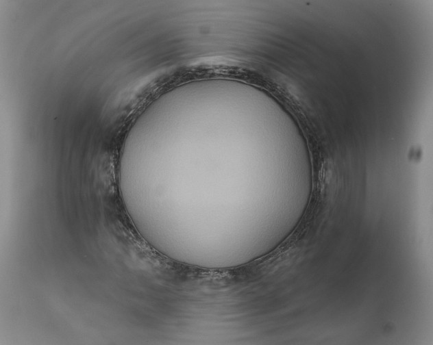 X0000112001062200908171414