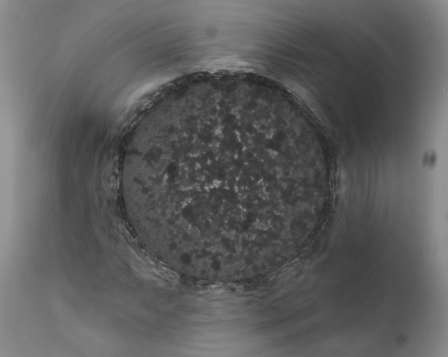 X0000112001063200908171414