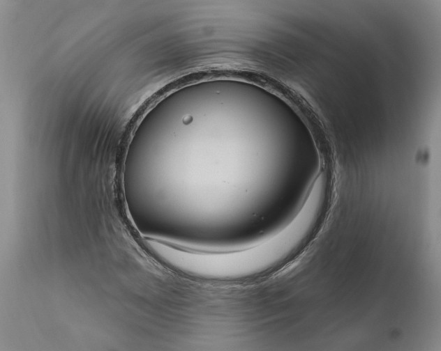 X0000112001065200908171414