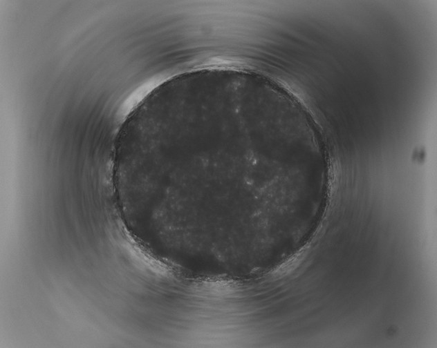 X0000112001066200908171414