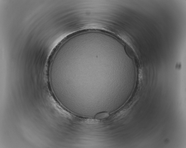 X0000112001068200908171414