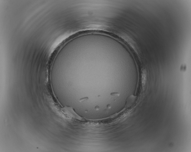 X0000112001069200908171414