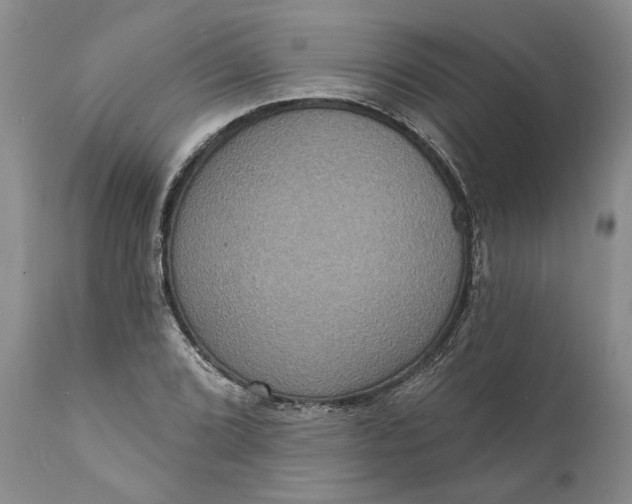 X0000112001072200908171414