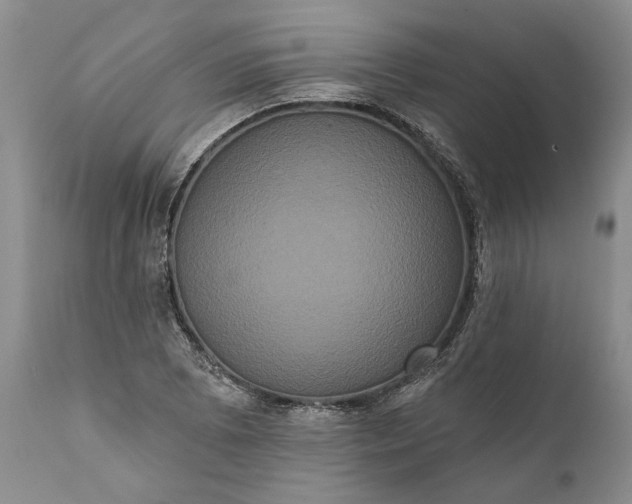 X0000112001073200908171414