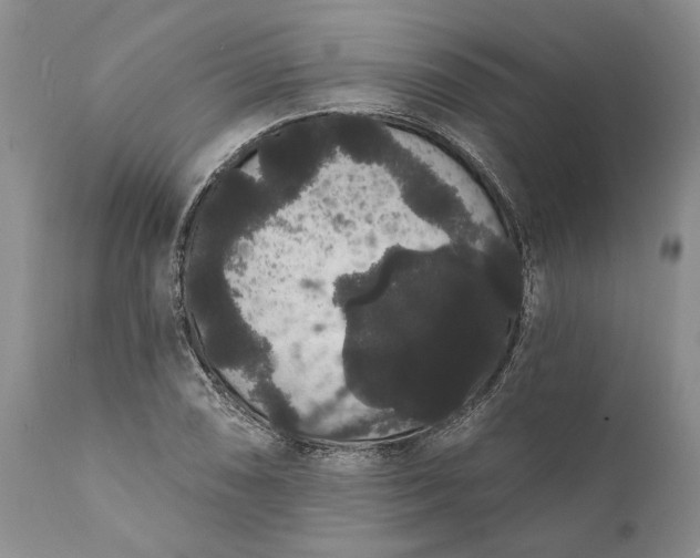 X0000112001074200908171414