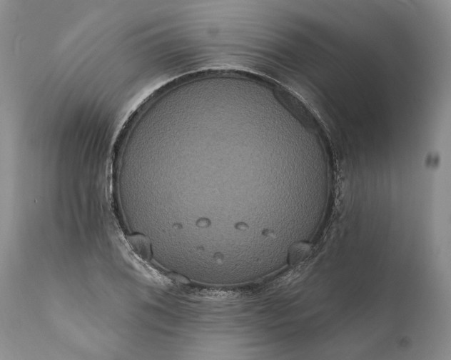 X0000112001076200908171414