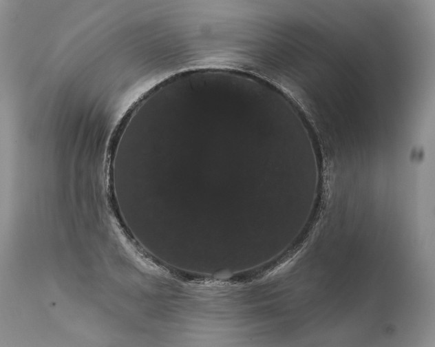 X0000112001077200908171414