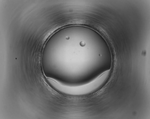 X0000112001081200908171414