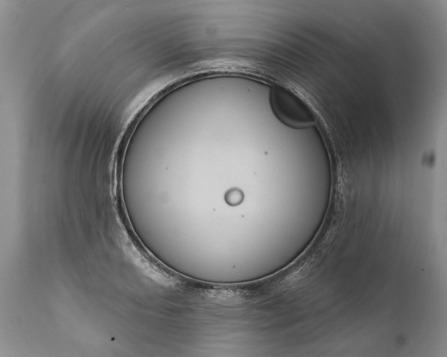 X0000112001082200908171414