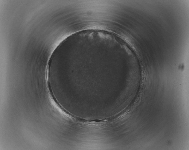 X0000112001084200908171414