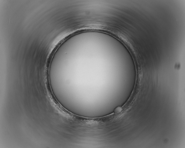 X0000112001085200908171414