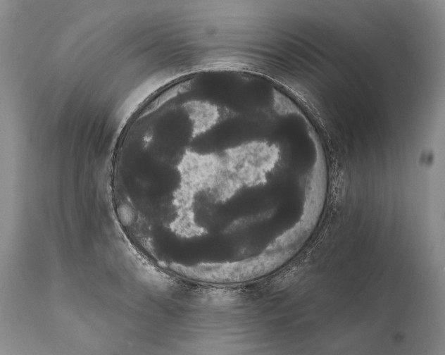 X0000112001086200908171414