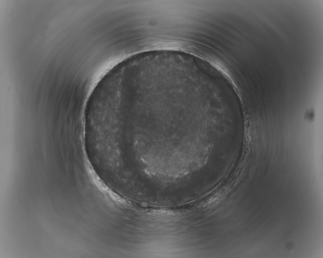 X0000112001088200908171414