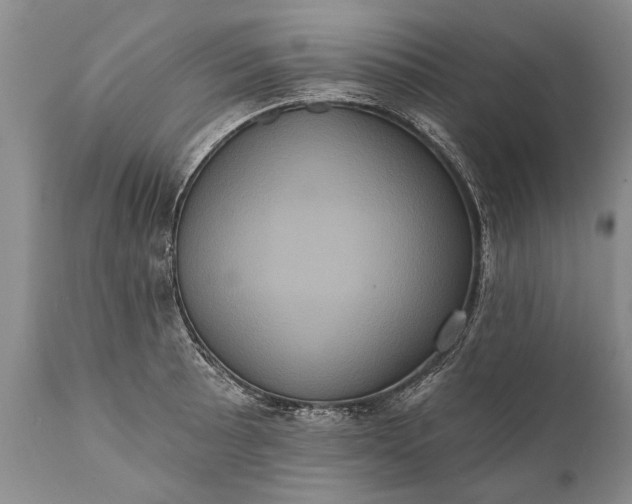 X0000112001089200908171414