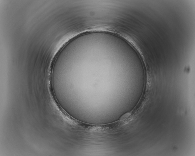 X0000112001093200908171413