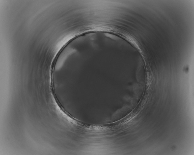 X0000112001095200908171413