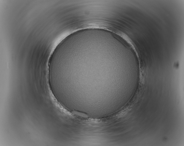 X0000112001096200908171413