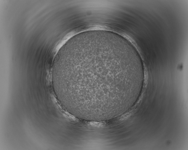 X0000112001097200908171413