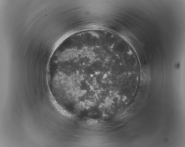 X0000112001098200908171413