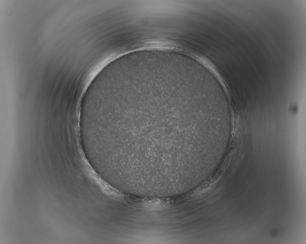 X0000112001099200908171413