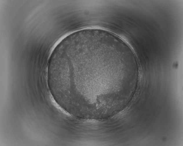 X0000112001100200908171413