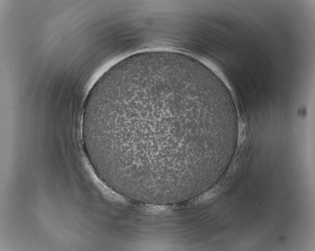 X0000112001101200908171413