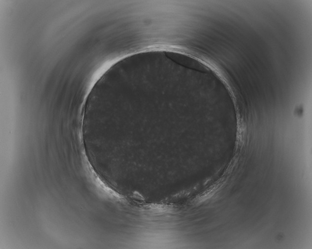 X0000112001102200908171413