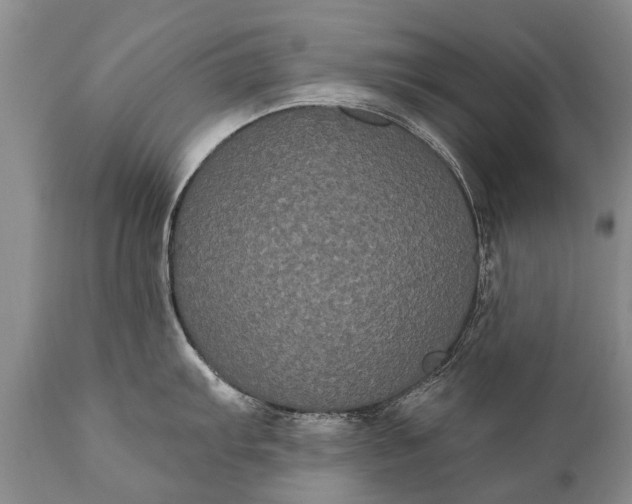 X0000112001103200908171413