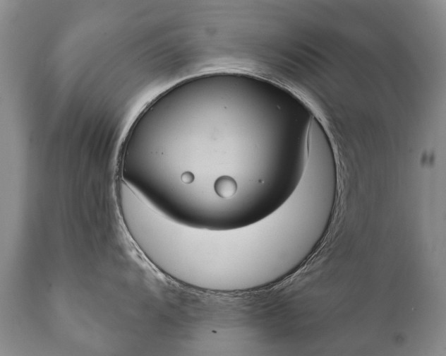 X0000112001104200908171413