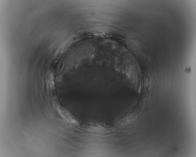 X0000112001106200908171413