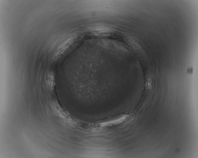 X0000112001108200908171413