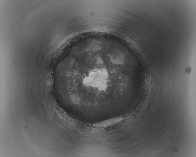 X0000112001110200908171413