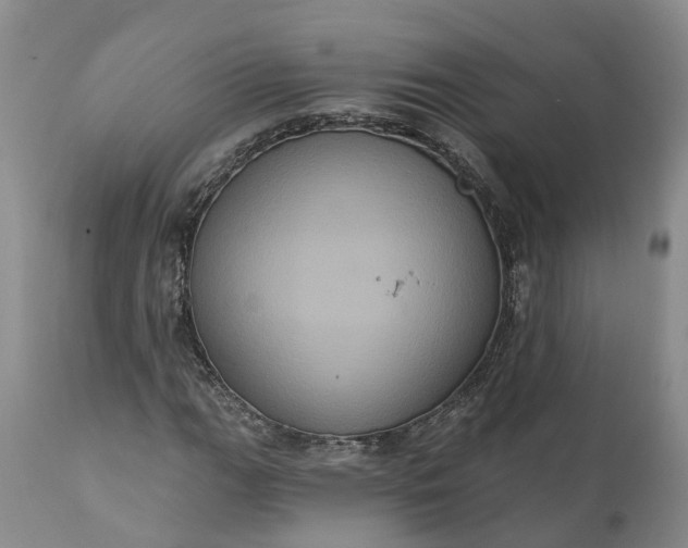 X0000112001111200908171413