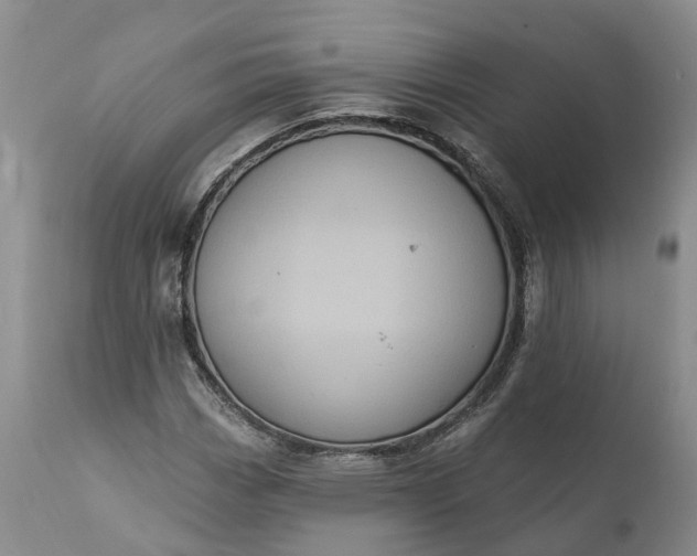 X0000112001113200908171413