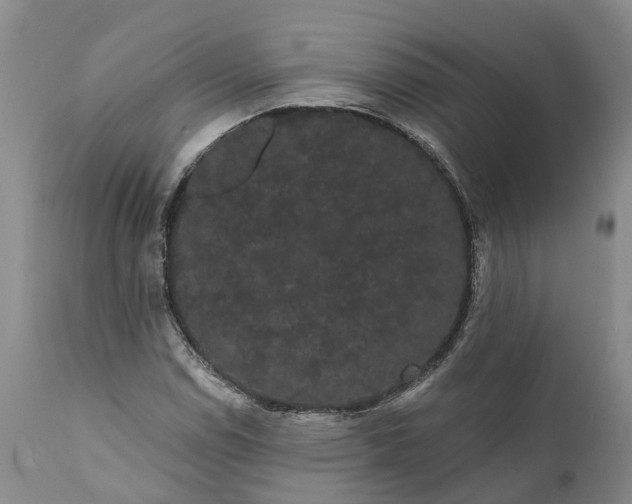 X0000112001114200908171413