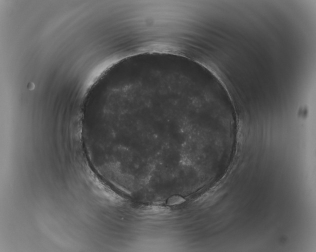 X0000112001115200908171413