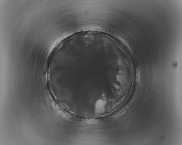 X0000112001117200908171413