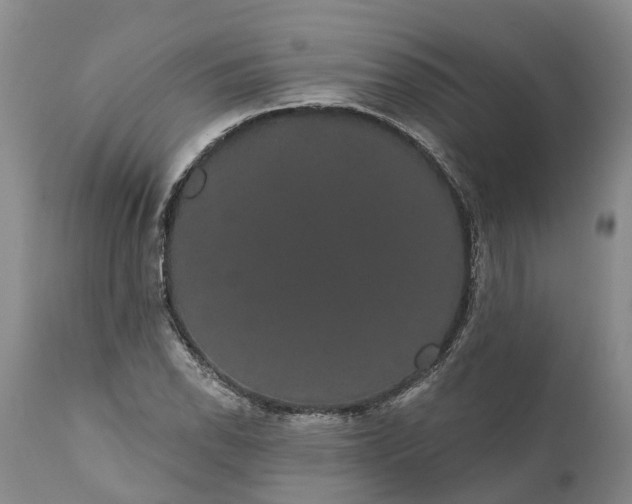 X0000112001118200908171413