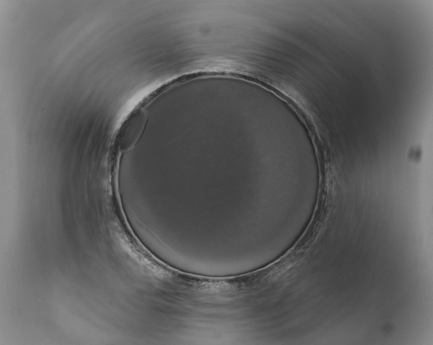 X0000112001120200908171413