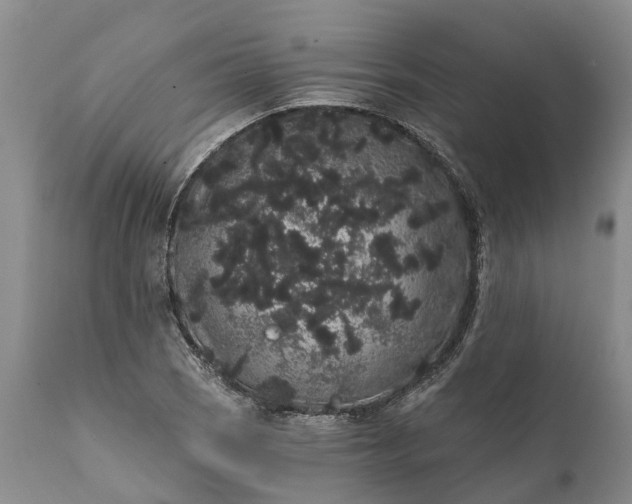 X0000112001121200908171413